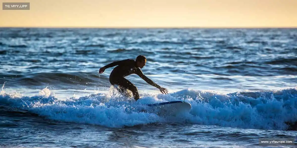 KY体育官网——🦾拳腿组合,攻防一体!